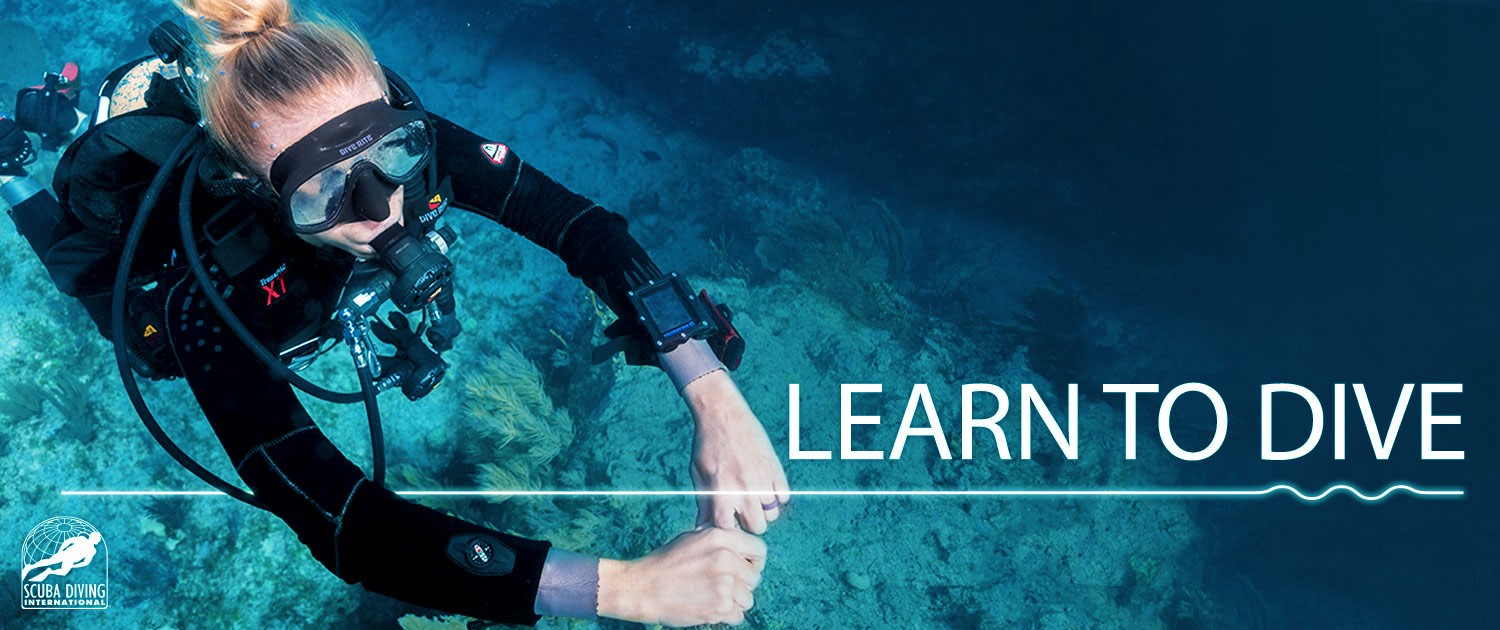 Learn-to-Dive-Hero_Banner_Mock_1500x630-2